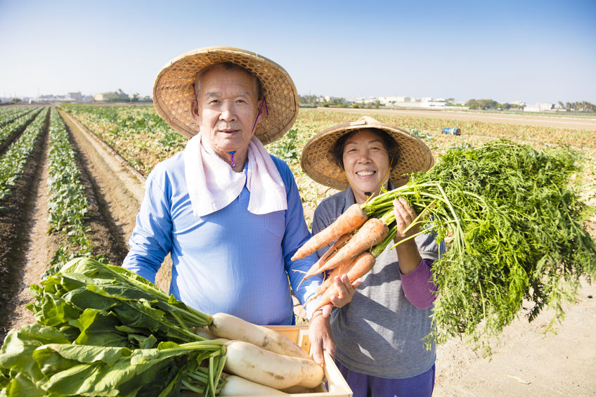 happy senior couple farmer with a lot of carrots in hand