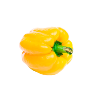 黃椒